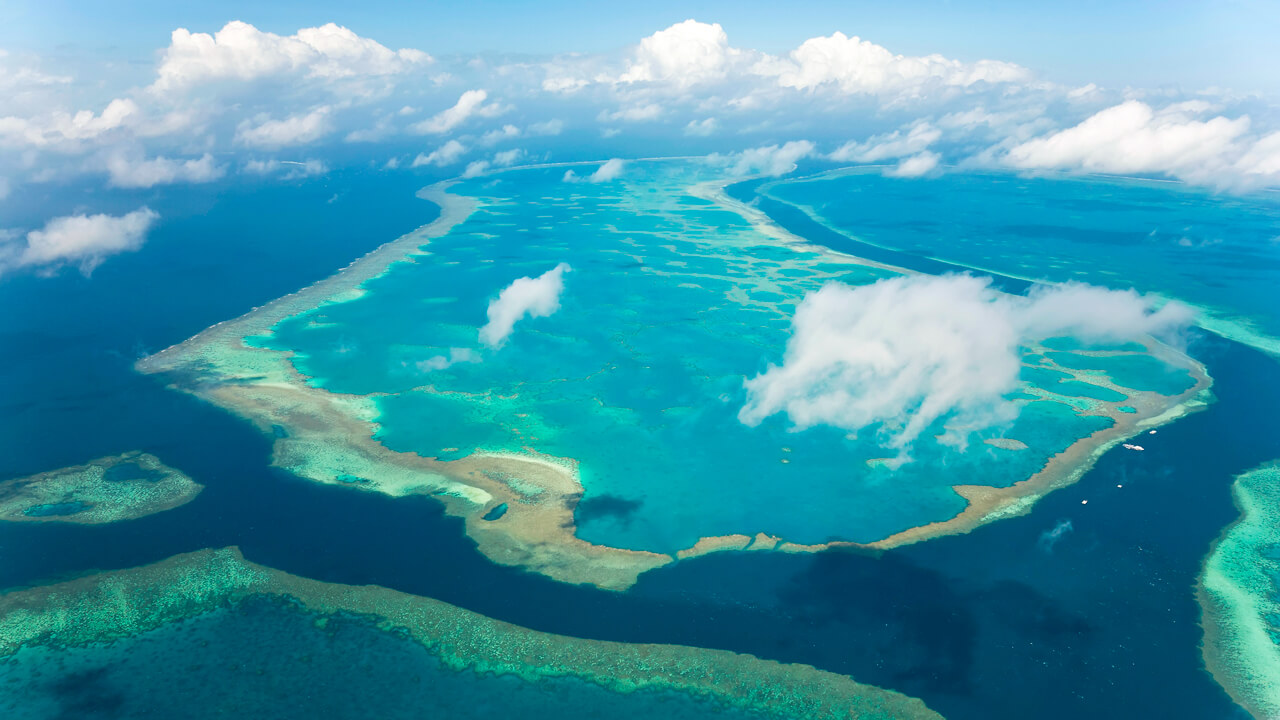 The Great Barrier Reef is the largest living structure in the world!