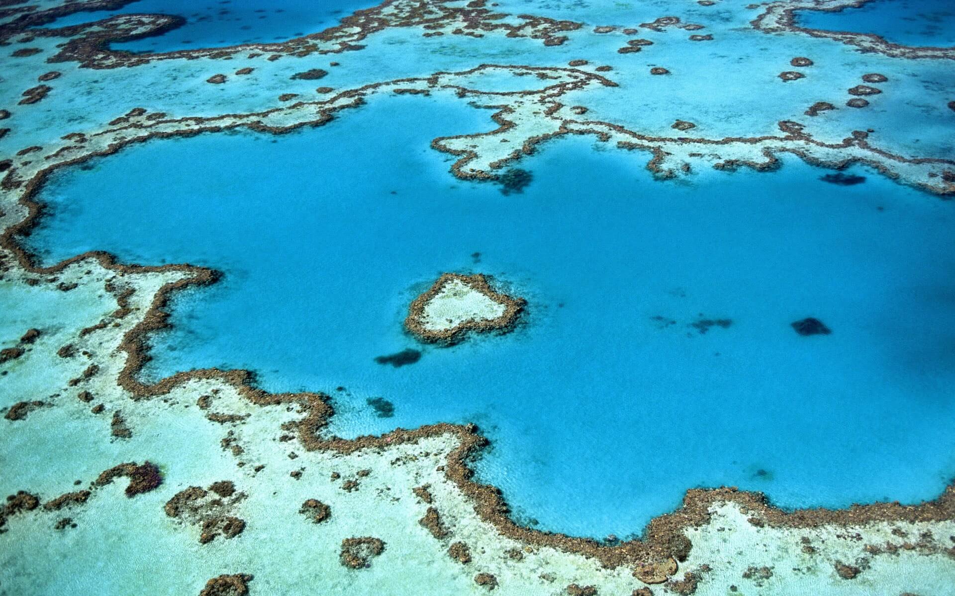 Great Barrier Reef - Ningaloo Coast