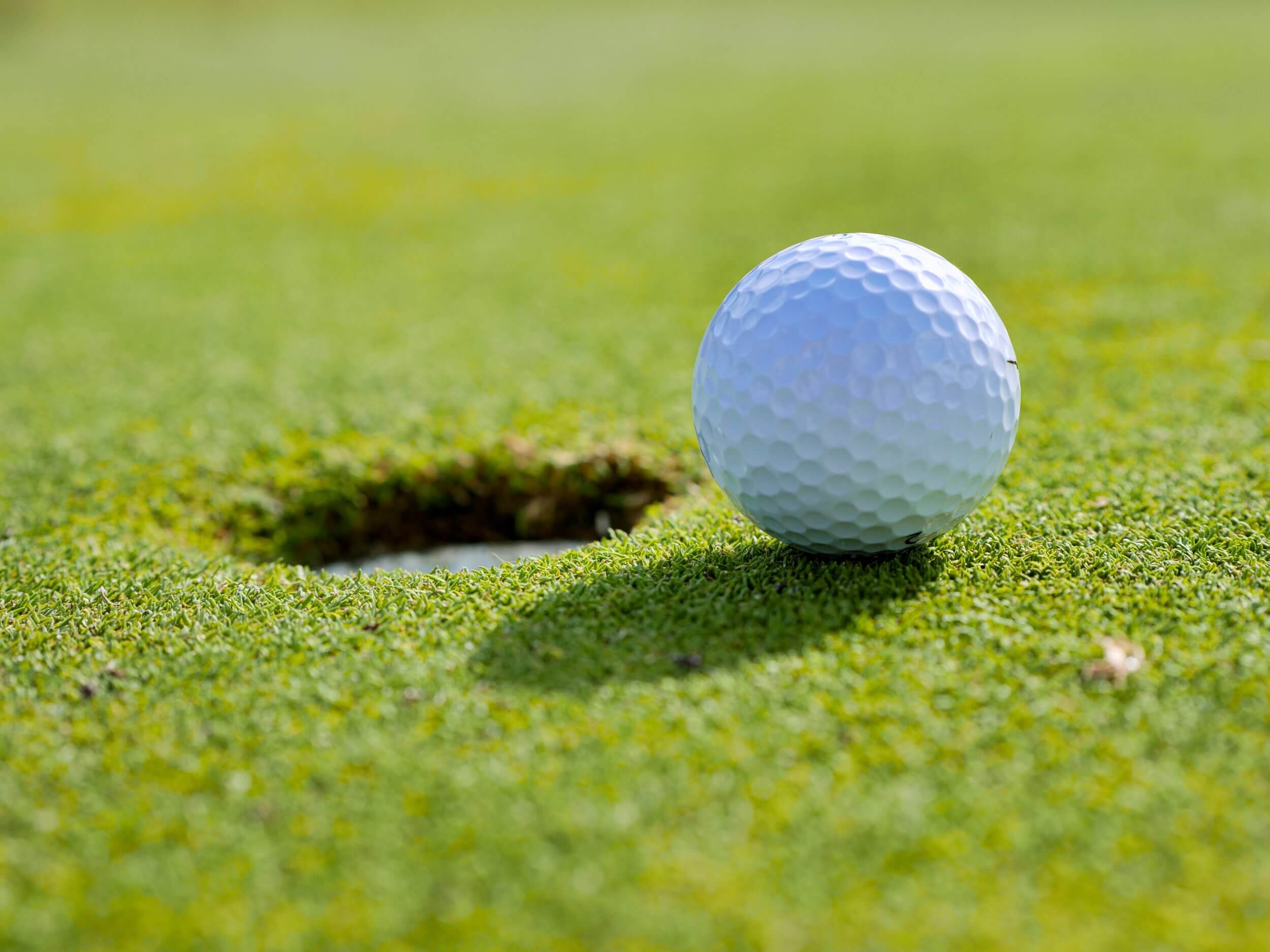 One of the best fundraising ideas is a golf putting competition. 